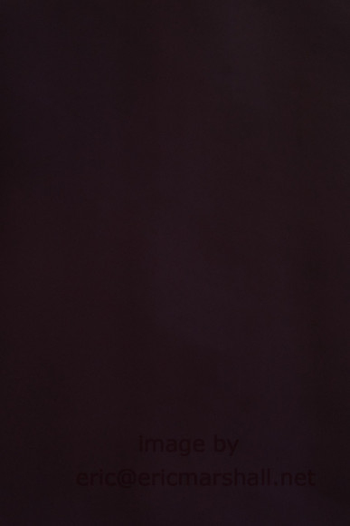 _DSF5559