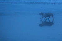 EAM_3516
